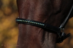 Magic Tack