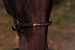 Magic Tack