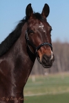 Magic Tack