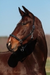 Magic Tack