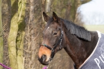 Magic Tack