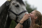 Magic Tack / Lederhalfter Mixed 