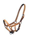 QHP / Lederhalfter Fohlen Chico