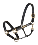 QHP / Lederhalfter Schwarz