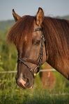 MyFilou / List 