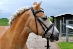 MyFilou / Rantum