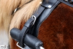 Tyson's Breeches / Einspännergeschirr