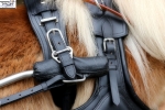 Tyson's Breeches / Einspännergeschirr