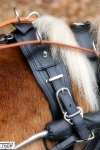 Tyson's Breeches / Einspännergeschirr