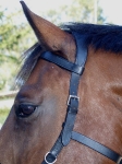 Tyson's Breeches / Kappzaum