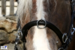 Tyson's Breeches / Kappzaum