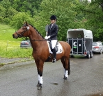 Lauria Garelli / Polo Classic Weiß