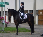 Eskadron / Big Square White-Grey-Mauve