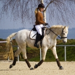 Eskadron / Brillant Creme-Choco