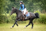 Equestrian Stockholm / Sapphire