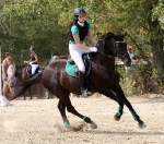 Eskadron / Cotton Smaragdgreen