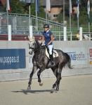 Eskadron / Big Square Vanilla-Black-Walnut