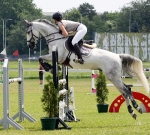 Eskadron / Glossy Crystal Violetgrey