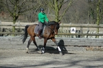 Harry's Horse / Challenge Sparkle Schwarz-Pink 