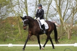 Harry's Horse / Challenge Sparkle Schwarz