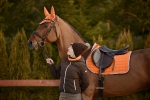 Schockemöhle Sports Herbst/Winter 2016