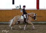 Cavallo / Champion Champagner 