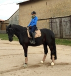 Cavallino Marino / Crystal Denim Blau