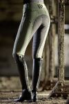 Cavallino Marino / Piemont