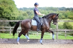 Horse Pilot / X-Balance 2017 Anthracite Grey