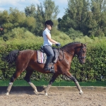 Pikeur / Lucinda Dark Shadow