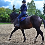 Pikeur / Lucinda Girl Grip Navy