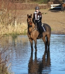 Pikeur / Lucinda Navy