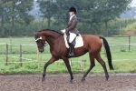 Pikeur / Lugana Creme