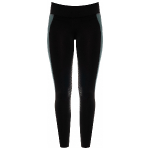 RidersChoice / Reitleggings 2 Tone Design mit Sillikonvollbesatz