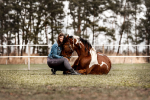 RidersChoice / Reitleggings Mesh-Design mit Silikonvollbesatz
