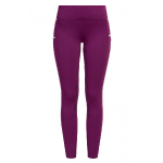 RidersChoice / Reitleggings Silver Design mit Silikonvollbesatz