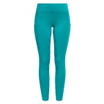 RidersChoice / Reitleggings Silver Design mit Silikonvollbesatz