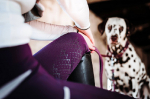 RidersChoice / Reitleggings Silver Design mit Silikonvollbesatz