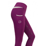 RidersChoice / Reitleggings Silver Design mit Silikonvollbesatz