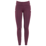 RidersChoice / Reitleggings Silver Design mit Silikonvollbesatz