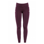 RidersChoice / Reitleggings Silver Design mit Silikonvollbesatz
