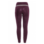 RidersChoice / Reitleggings Silver Design mit Silikonvollbesatz