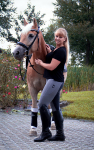 Royal Horsemen / Reitleggings 2.0 Smokey Grey