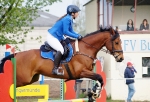 Harry's Horse / St. Tropez Cobalt Blue