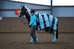 Pikeur / Farina Iceblue