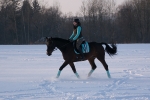 Pikeur / Farina Iceblue