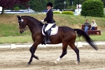 Pikeur / Radina Schwarz