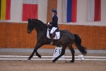 Pikeur / Romina Dunkelbraun