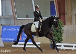 Pikeur / Scarlett Mokka