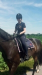 Pikeur / Janika Navy 